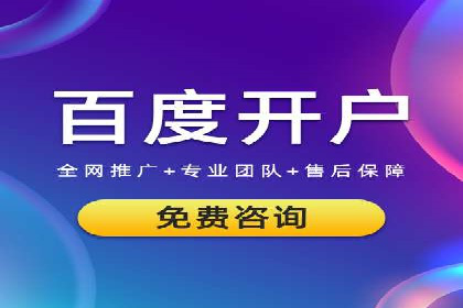 案例研究：SEM代运营服务公司的创新策略